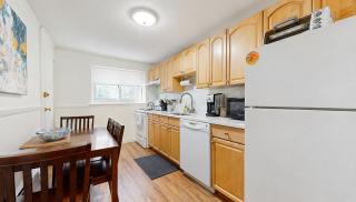 Beautiful, Homey 1BR Close to Longwood Medical - 3