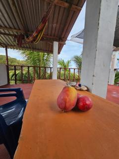 Punta Chilama Surf House - 7