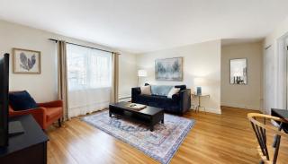 Beautiful, Homey 1BR Close to Longwood Medical - 9