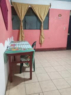 Hostal the Cats - 4