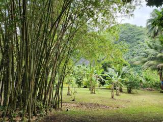 THE SECRET SPOT - Fenua Aihere - TAUTIRA - 1