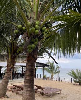 Infinity Beach Bungalows And Restaurant - 4