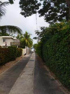 Flamboyante - 2