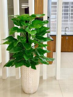 Van Homestay near beach 3 bedrooms - 7