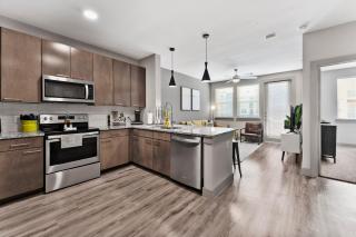 Apex Executive Apartments - E Riverside Dr TX - 8