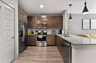 Apex Executive Apartments - E Riverside Dr TX - 1