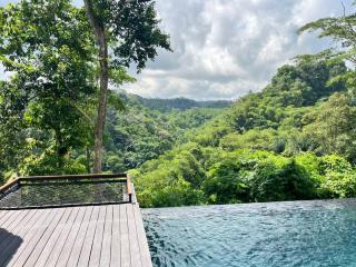 Micaela Bali Ubud Villas - 8