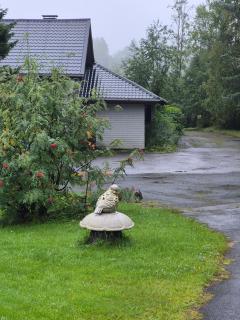 Talo järven rannalla - 4