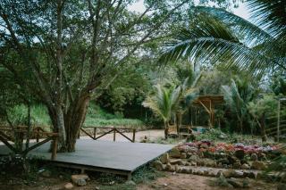 Rừng Cafe & Glamping - 6