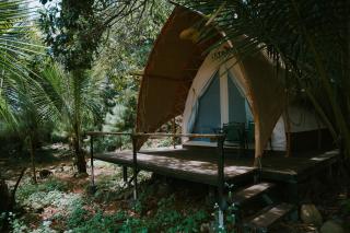 Rừng Cafe & Glamping - 4