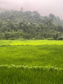 Galkot sweet dream guest house and organic kitchen - 8