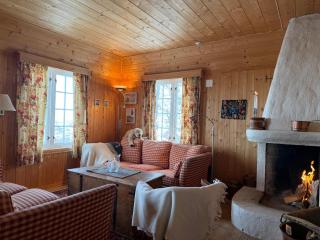 Charming Family Cabin With Stunning Mountain Views - 7