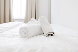 Ruhelage im neu renovierten Altbau, 20 Minuten ins Zentrum - 3