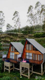 Padangsari Cabin House - 0