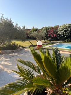 Le Petit Valexiane Piscine & Jardin - 9