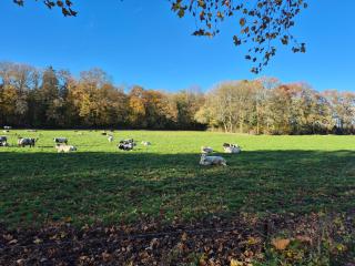 Au coin des champs - Gîte à la ferme - L'Abreuvoir - 4