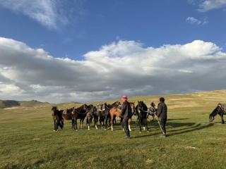 TIAN-SHAN guest house - 7