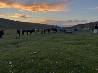 TIAN-SHAN guest house - 5
