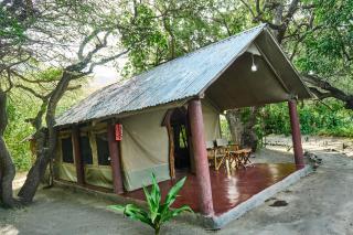 Lake Natron Tented Camp - 4