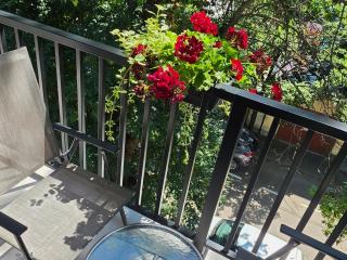 Apartament cu o cameră matrimonială si cameră de zi - 1