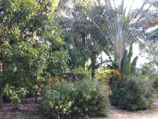 Charming house with private pool in Cap Skirring - 1