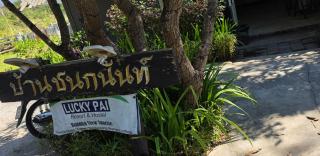 LUCKY PAI Resort&Hostel - 3