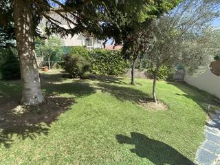 La Casa Del Abeto Azul - 5