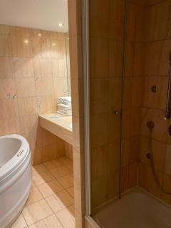 SEE-Hotel Seeschau - direkt am Bodenseeufer - 8