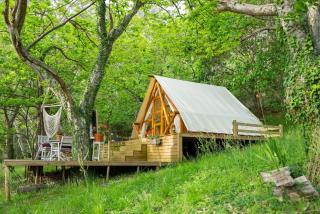 A Salvaxe by Naterra-Forest&Wildlife-Galicia - 0