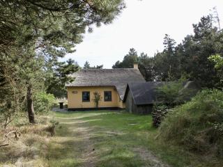 Reetdachhaus-auf-traumhaftem-Duenengrundstueck-mit-Kamin-und-Terrassen - 9