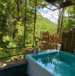 Doi Lom Elephant farmstay - 3
