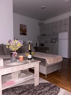 Apartman Vrnjačka Banja centar - 6