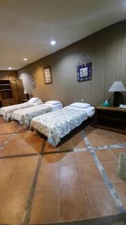 The Pinewood Lodge and Organic Farm - 3