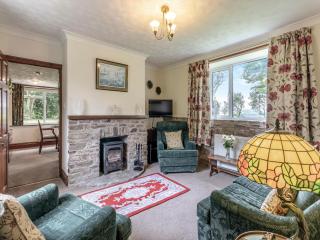 Encina Empinada - Kington - 9