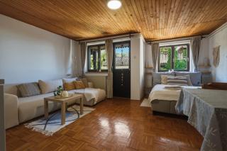 Apartment Vineyard nook Lendava - 2