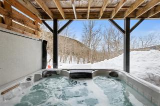 Spa & Pool Table - Le Boreal - 9