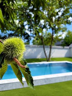 Garden Pool Villa - 3