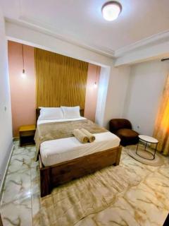 Luxury Apartment in Coeur de Gombe - 1