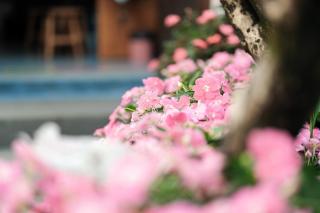 Lijiang Music & Hiking Guesthouse - Ancient Town Branch - 3