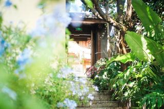 Lijiang Music & Hiking Guesthouse - Ancient Town Branch - 7