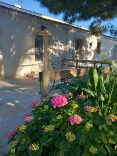 Mas Sicard chambre d'hôtes en Camargue - 1