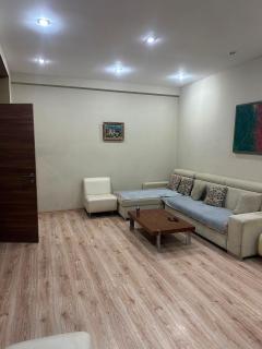 VIP Apartment in Nizami - 2