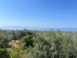 Mati's Guesthouse - 8