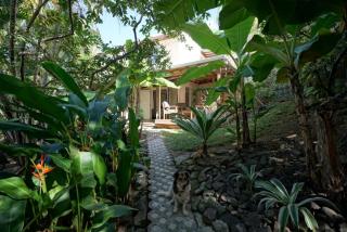 Spacious Beachfront Studio - Pool Hiking Surfing - South - 0