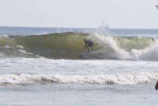 Spacious Beachfront Studio - Pool Hiking Surfing - South - 8