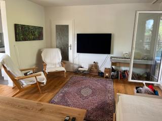 Private Basel Room near forest free parking - 9