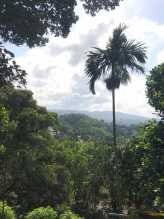 Hilly Ladder Homestay - 4