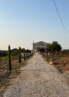 Tenuta Ferrante Relais - 2