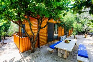 Garden bungalow - 0