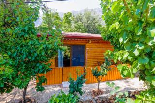 Garden bungalow - 8